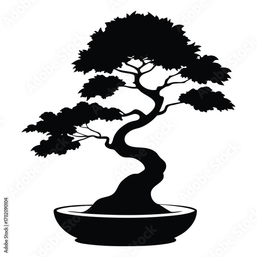 Silhouette of a twisted bonsai tree in a pot