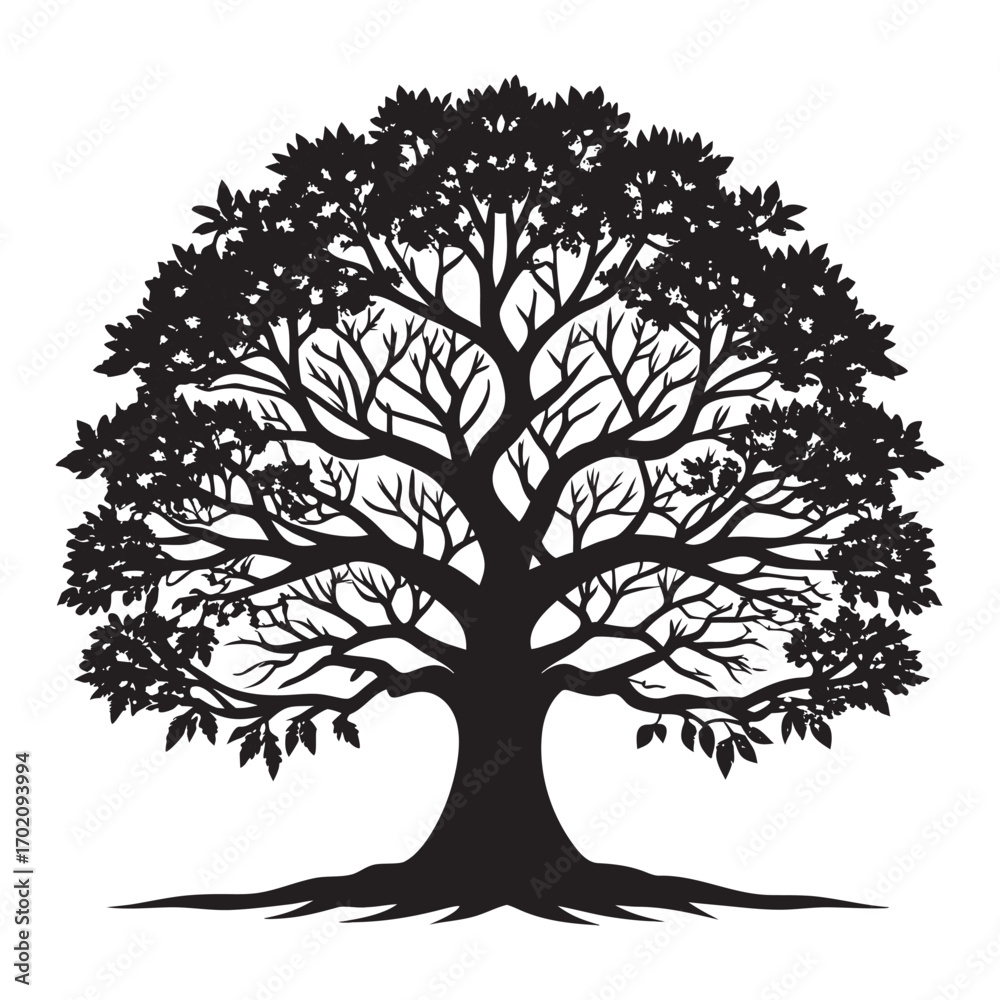 Obraz premium Silhouette of a majestic tree with lush foliage