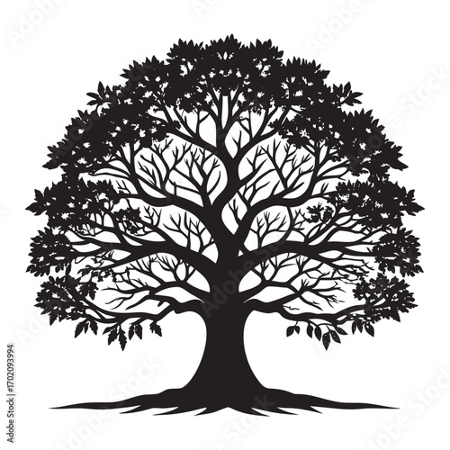 Silhouette of a majestic tree with lush foliage