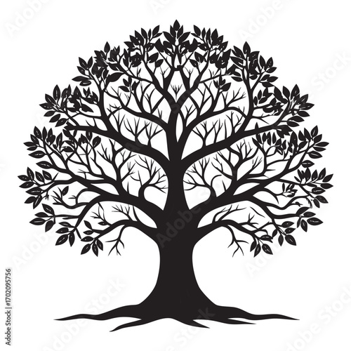 Silhouette of a large leafy tree with spreading branches and roots
