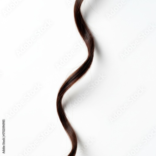 A strand of slightly curly brown hair lies on a white background in a vertical direction, illuminated by soft light and casting subtle shadows which gives it depth and realism .
