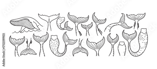 Hand-drawn mermaid tails. Fish poses, sea creatures, fairy tale mermaids, and whales, illustrated in outlines.