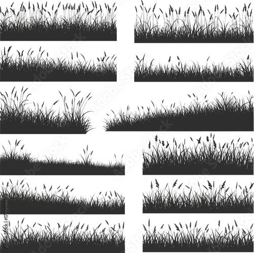 Create a kinds of deferent Meadow background, grass silhouette, vector meadow border vector art with white background.