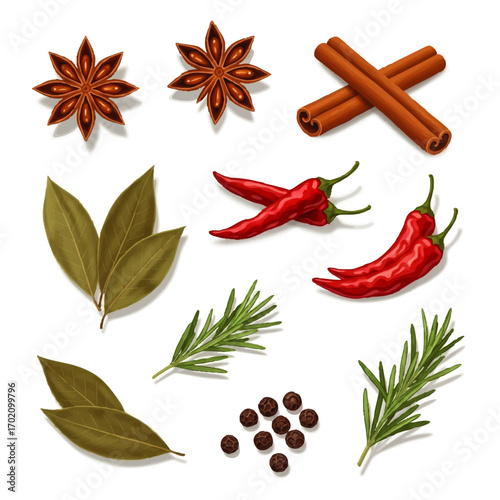 Aromatic collection of illustrated spices and herbs: star anise, cinnamon, chili, rosemary, bay leaf, and peppercorns.