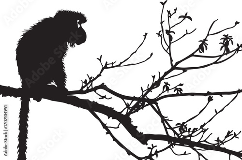 Monkey silhouette perched on branch, jungle wildlife