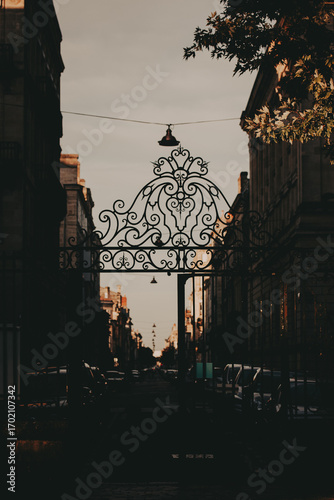 Ornate gate leading to a city street. An elegant wrought iron gate frames a view down a city street, with buildings lining the road and soft light. Vertical moody shot of an old French town, Bordeauxe