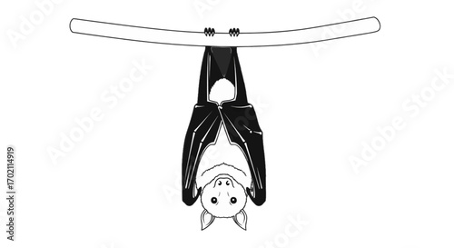Minimalist vector illustration of a nocturnal mammal, a bat, gracefully hanging upside down from a simple wooden branch, showcasing its unique resting habit