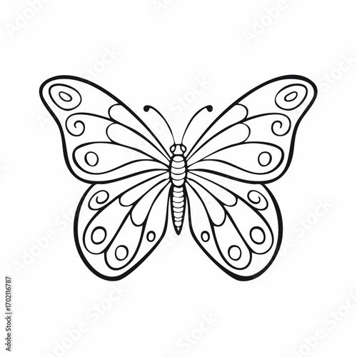 Joli papillon dessiné au trait noir, fond blanc