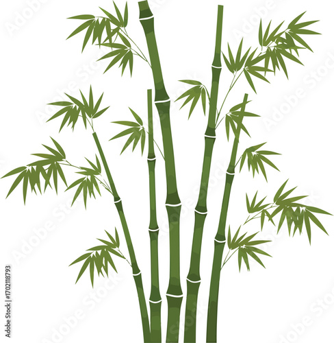 vector, illustration, bamboo tree for poster, background