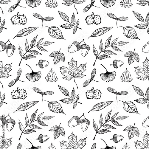 Hand drawn seamless pattern with autumn leaf symbols in black brush stroke texture on white. Vector sketch illustration in vintage charcoal ink. Chestnut, ginkgo