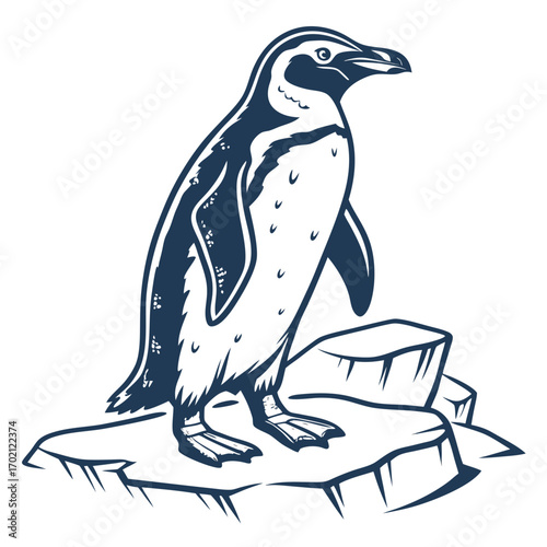 Stylized illustration of a proud penguin standing on a floating ice floe, capturing the essence of cold climates