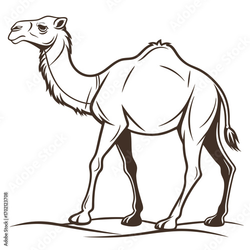 Stylized black and white dromedary camel illustration concept