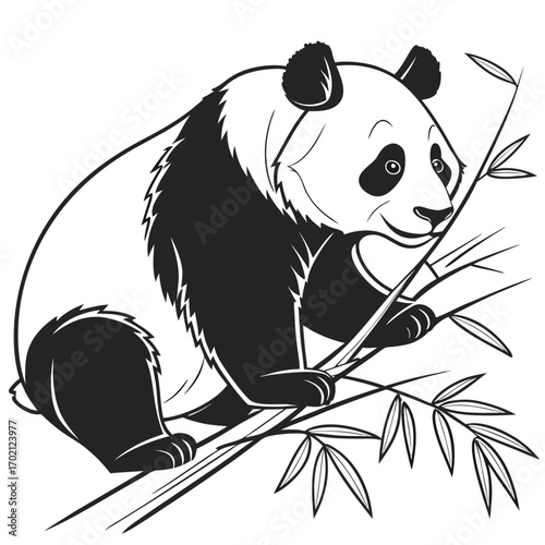 Cute Panda Illustration - Black and White Drawing of a Giant Panda