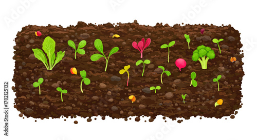 Diverse Vegetable Seedlings Sprouting in Rich Brown Soil.