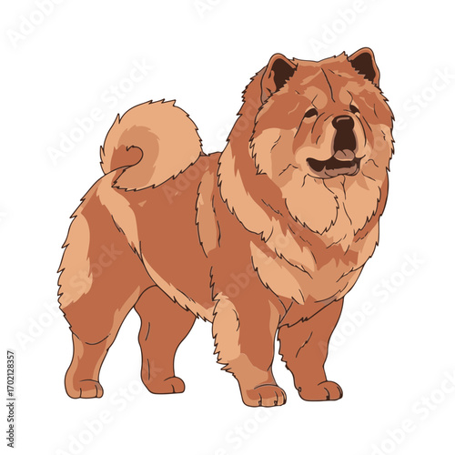 Chow Chow head full body, cartoon vector digital art, isolated on white transparent background