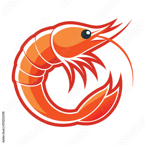 vector illustration of a shrimp