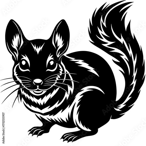 Chinchilla black design on white background illustration