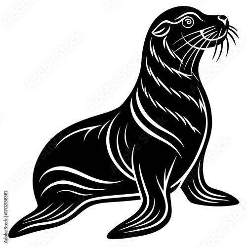 Black and white sea lion illustration on white background