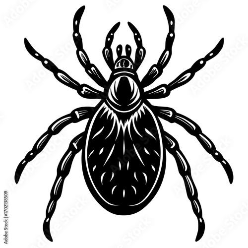 Black spider mite illustration on white background