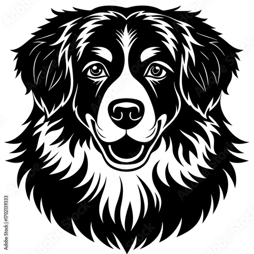 Black bernese mountain dog silhouette design on white background