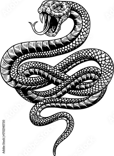 Hand drawn snake illustration in vector format