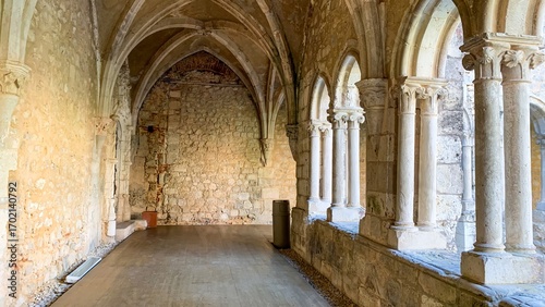 Silent stone cloisters whisper secrets of medieval solstice celebrations and ancient echoes, inviting Gothic reverie and introspective wanderings