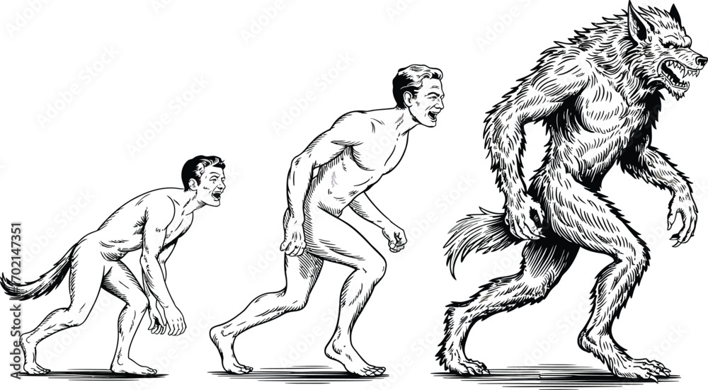 Fototapeta premium Human evolution to werewolf transformation sequence