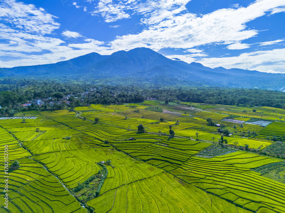 Obraz premium Beautiful morning view indonesia, Panorama Landscape paddy fields with beauty color and sky natural light