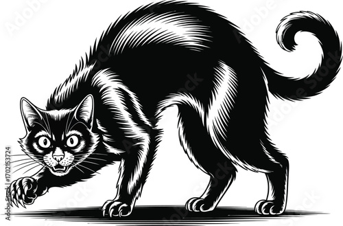 Black cat with arched back and extended paw animal