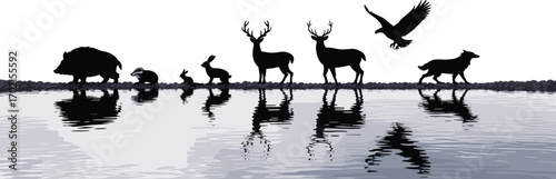 Wildlife animal silhouettes with water reflection, forest creatures standing by river, nature scene, deer, rabbit, eagle, wolf, wild boar