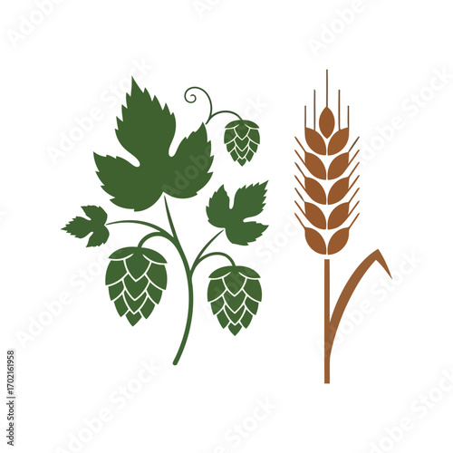 Hop plant and wheat ear icons for brewing craft beer ingredient design vector vector