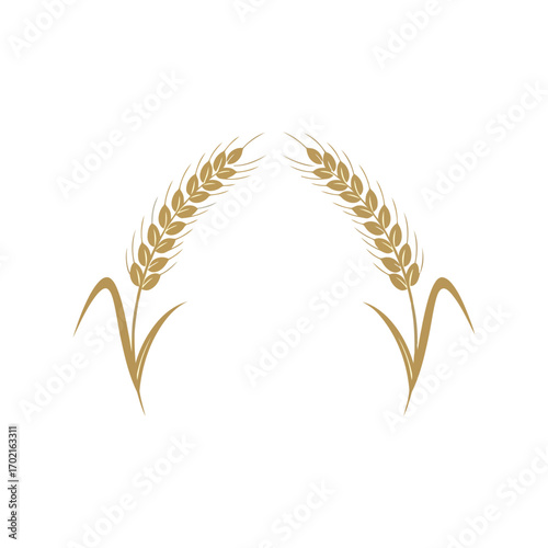 Golden wheat stalks arch design harvest agriculture grain symbol emblem vector