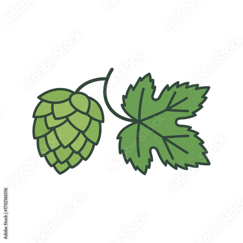 Green hop cone with leaf fresh ingredient for brewing beer and craft beverages vector