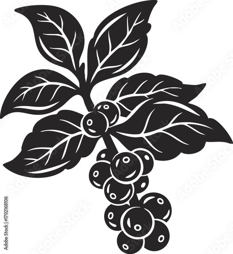 vector illustration of a coffee plant branch with leaves and beans. Ideal for organic, farm, or café designs.