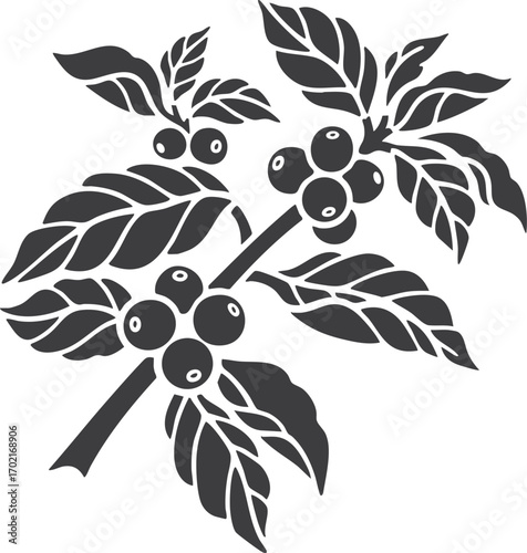 vector illustration of a coffee plant branch with leaves and beans. Ideal for organic, farm, or café designs.