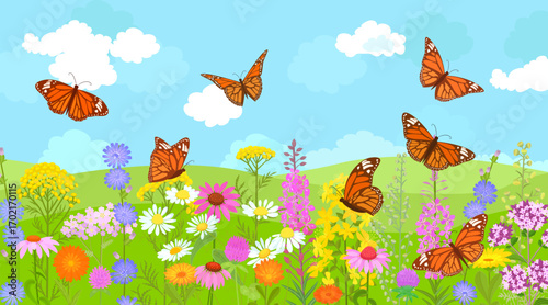 rural summer panoramic landscape of field blooming medicinal herbs flowers with flying butterflies