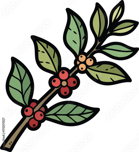 vector illustration of a coffee plant branch with leaves and beans. Ideal for organic, farm, or café designs.