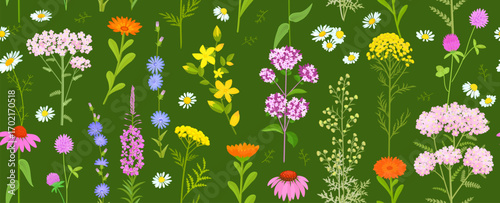 seamless texture with blooming medicinal herbs. colorful wildflowers on green background. panoramic pattern with pharmaceuticals herbal flowers