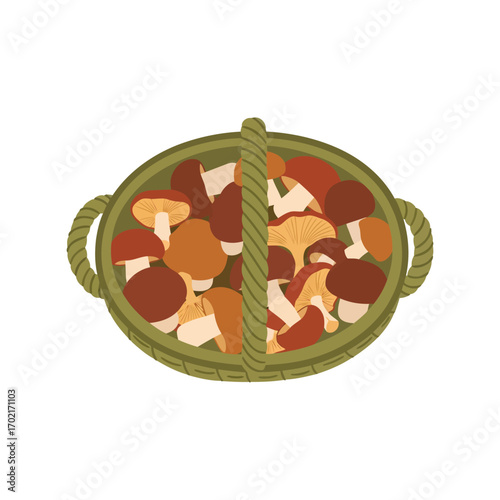 Abundant basket of fresh forest mushrooms top view isolated harvest food ingredients vector