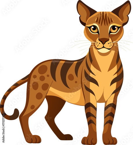 Serengeti cat