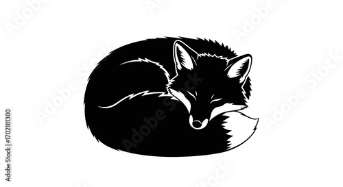 Sleeping fox curled up in a circle silhouette isolated on white background