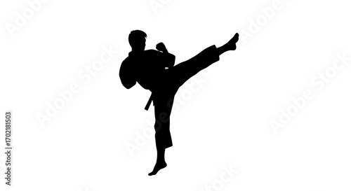 Karate fighter performing a high side kick silhouette isolated on white background
