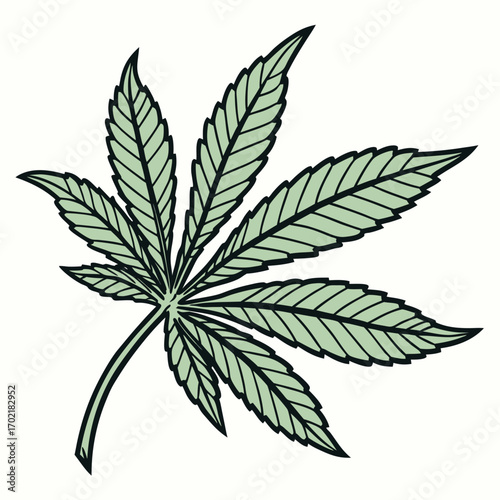 A stylized illustration of a single iconic cannabis leaf with a light green fill and bold black outlines isolated on a clean white background representing natural growth and botanical elements