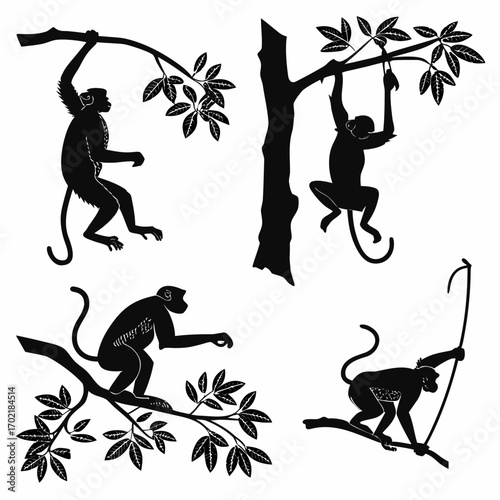 Collection of four black silhouette monkeys in various playful poses swinging and climbing on tree branches with leaves against a white background representing jungle life and animal behavior