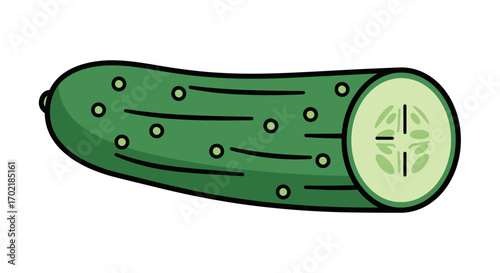 A detailed illustration of a whole cucumber, sliced to reveal its inner texture and seeds.
