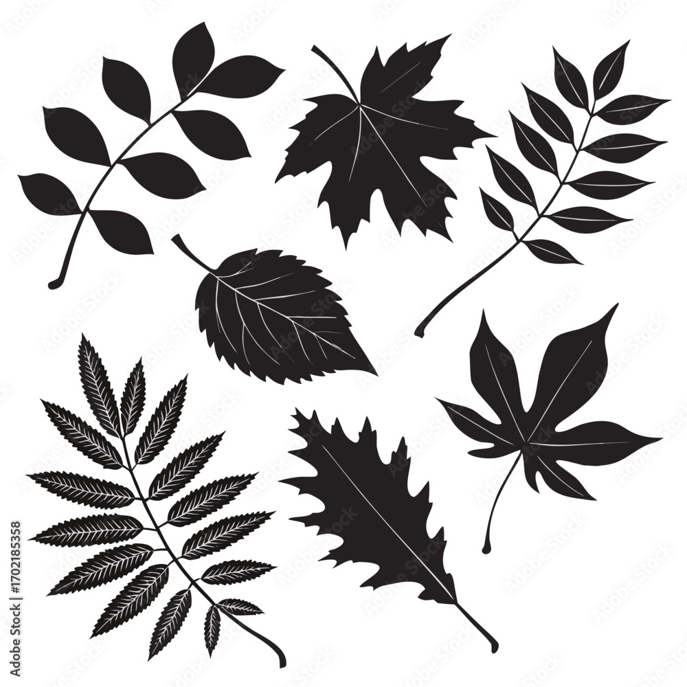 Obraz premium Collection of diverse black silhouette autumn leaves and branches on a white background representing seasonal change and natural beauty