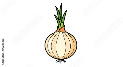 A detailed illustration of a whole onion, showing its bulbous shape, layers, and green sprout top.