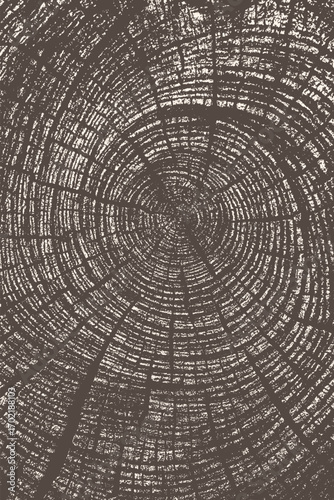 Close-up circular tree rings texture, highly detailed wood growth pattern creating natural rustic background illustration.