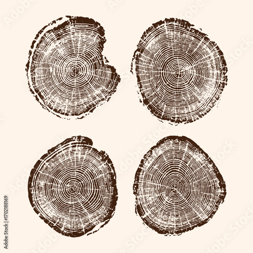 Detailed hand-drawn tree rings cross-section, showing circular wood texture and growth patterns for rustic design.