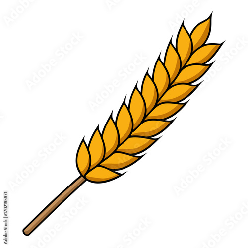 Vector illustration of a golden wheat stalk on a white background
